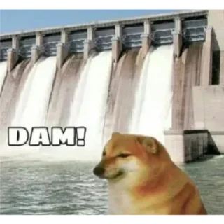 😂