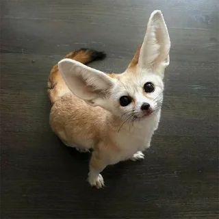 ☺️