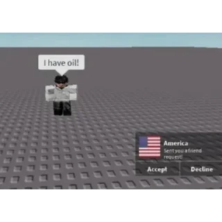 🇺🇸