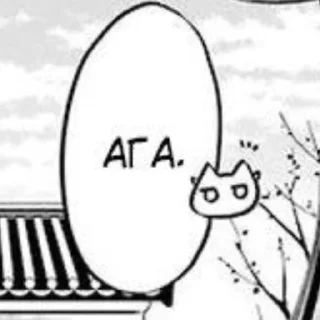 🐱