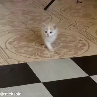 🥺