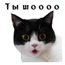 😮