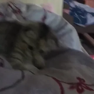 🥰
