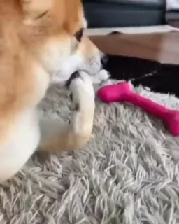 🧐