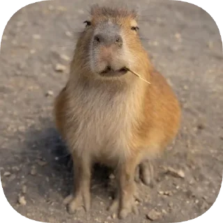 🤨
