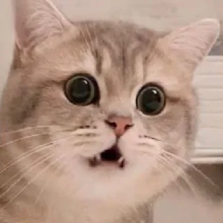 😮