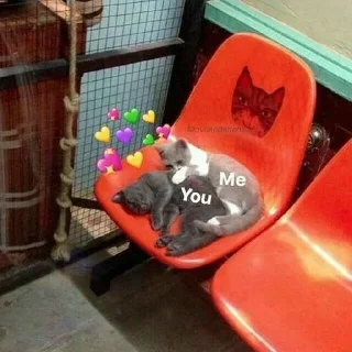 💕