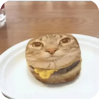 🍲