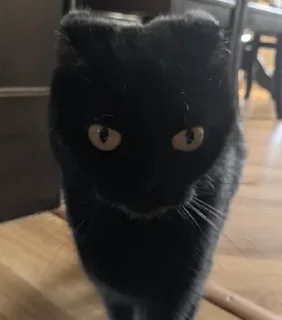 😳