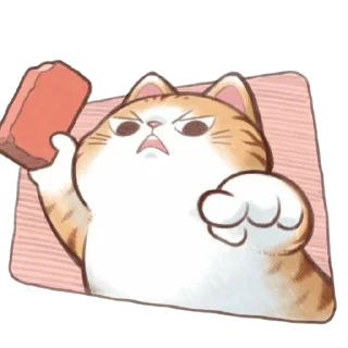 🐱