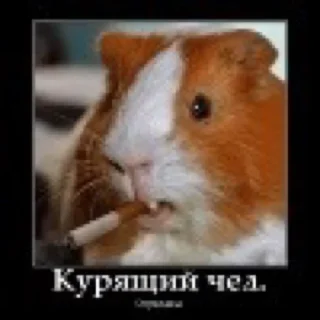 🚬