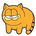 Cats @stickersb2b