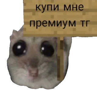 🙏