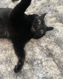 😃