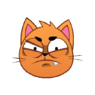😾