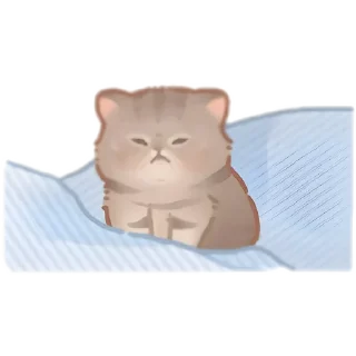 😪