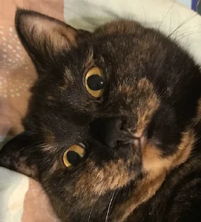 ☺️
