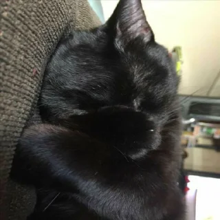 😴