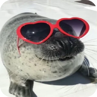 😎