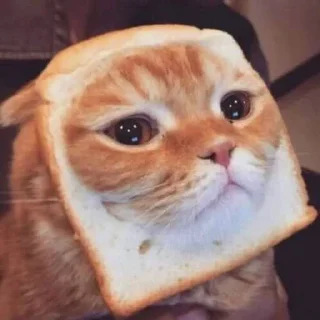🥺