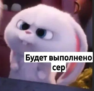🫡