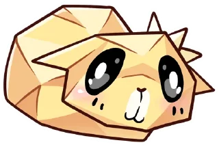 🐱