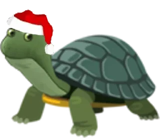 🐢