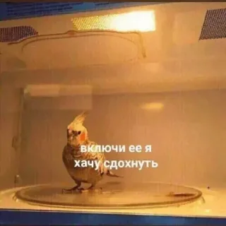 🍗