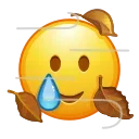 🥲