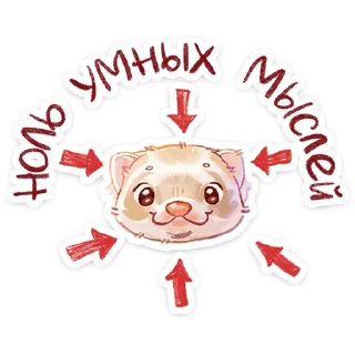 ⭐