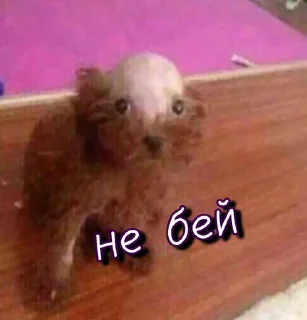 😭