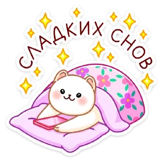 😴