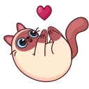 ❤️