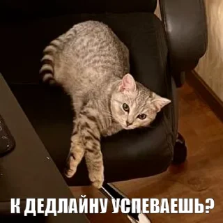 😏