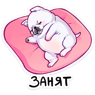 😴
