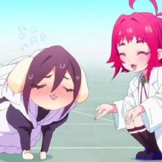✨