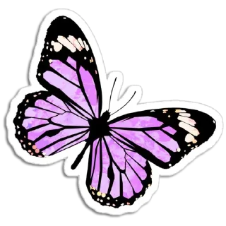 🦋
