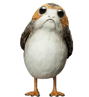 🐥