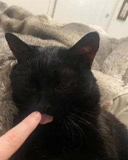 😝