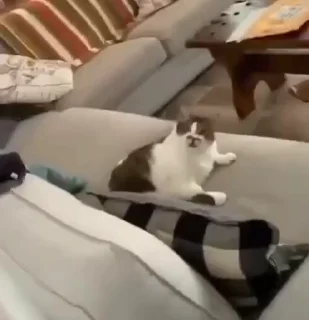 😃