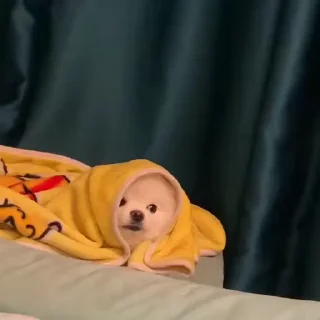 💛