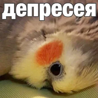 😞