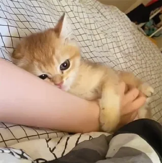 🤝