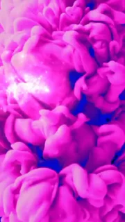 🤩