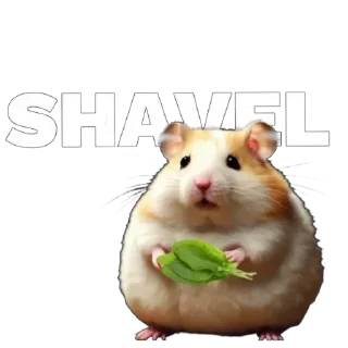 🐹