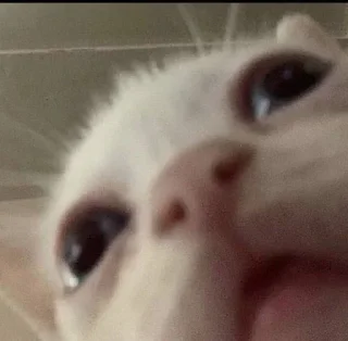 😳