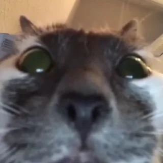 🤨