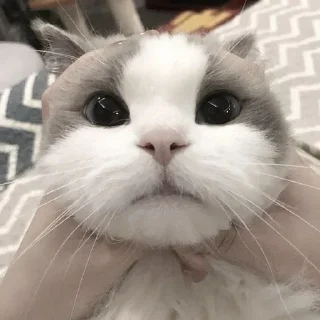 😑