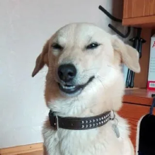 🤗