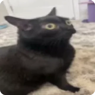 😱